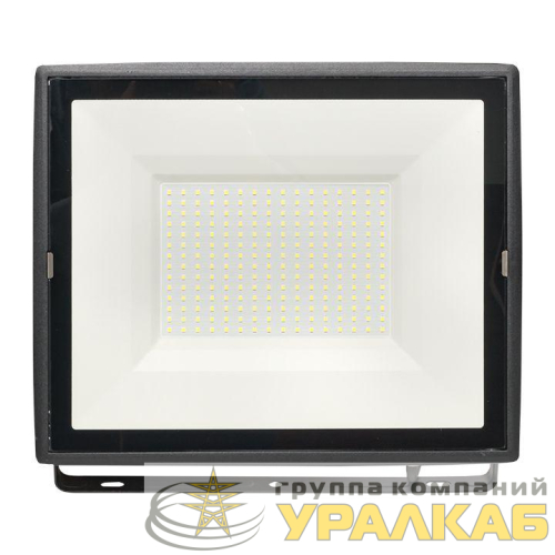 Прожектор светодиодный СДО-3008 200Вт 6500К IP65 Basic EKF FLL-3008-200-6500 детальная картинка
