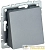 Вывод кабеля BRITE МВ10-БрС механизм сталь IEK BR-VK10-0-K46