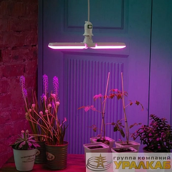 Лампа светодиодная LED-P65-16W/SPSB/E27/FR/P2 PLP32WH 16Вт P65 лепестковая матовая E27 для растений спектр для рассады и цветения (упак. картон) Uniel 