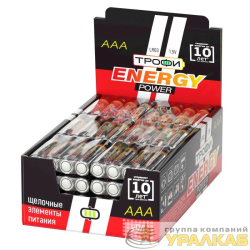 Элемент питания алкалиновый AAA/LR03 LR03-4S promo-box (уп.4шт) Трофи Б0017349 детальная картинка