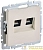 Розетка двойная СП RJ11+RJ45 кат.5E BRITE РК/Т12-БрКр механизм беж. IEK BR-KT20-O-1-K10