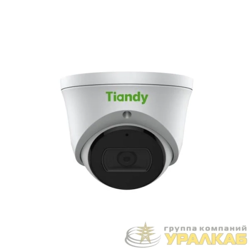 Видеокамера IP 4Мп купольная ИК-30м PoE/DC12В IP66 (2.8мм) TC-C34XS I3W/E/Y/M/2.8mm/V4.2 Tiandy Tiandy 00-01022889 детальная картинка