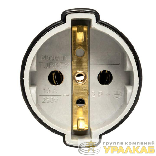 Гнездо штепсельное с заземл. черн. 16А 250В PROxima EKF ASG16-30-r детальная картинка