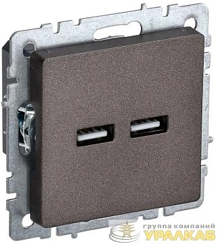 Розетка BRITE USB A+A 3.1А РЮ10-1-БрТБ механизм бронза IEK BR-U21-D31-K45