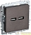 Розетка BRITE USB A+A 3.1А РЮ10-1-БрТБ механизм бронза IEK BR-U21-D31-K45