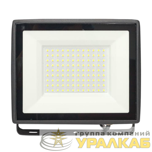 Прожектор светодиодный СДО-3006 100Вт 6500К IP65 Basic EKF FLL-3006-100-6500 детальная картинка