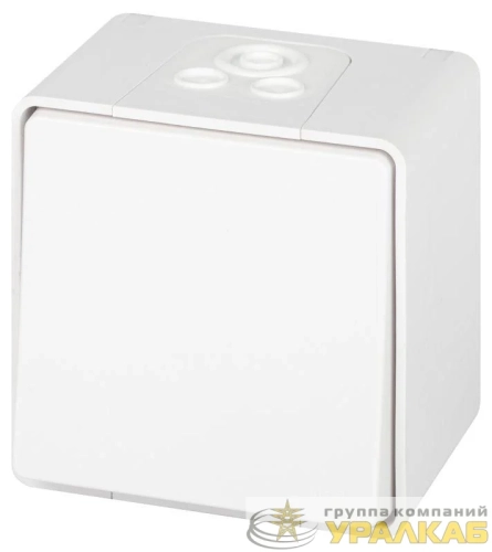 Переключатель Эксперт 11-1503-01 IP55 10АХ-250В ОУ бел. Эра 