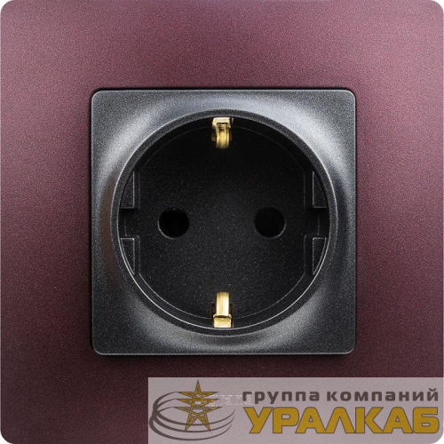 Розетка 1-м СП Etika 16А IP31 250В 2P+E с заземл. защ. шторки немецк. стандарт винтов. клеммы механизм антрацит Leg 672622 детальная картинка