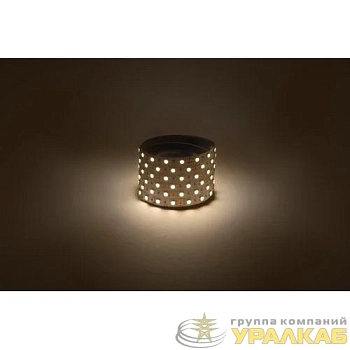 Лента светодиодная LS5050 -14.4-60-12-3000K-IP20-1 year-5m тепл. бел. (уп.5м) Эра 