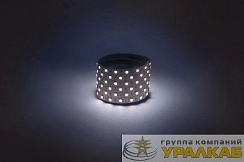 Лента светодиодная LS5050 -14.4-60-12-6500K-IP20-1 year-5m холод. бел. (уп.5м) Эра 