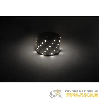 Лента светодиодная LS5050 -7.2-30-12-4000K-IP20-1 year-5m нейтр. бел. (уп.5м) Эра 