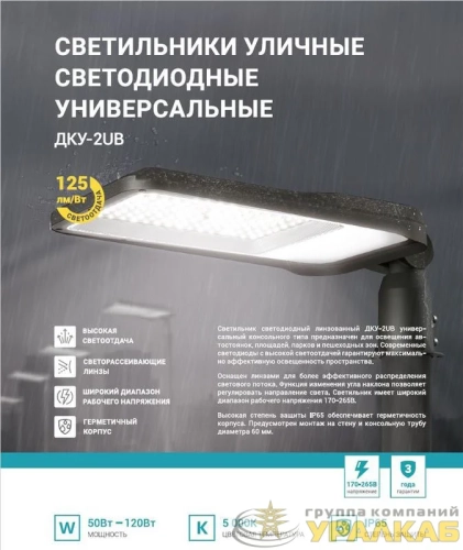 Светильник уличный линзованный светодиодный ДКУ-2UB 120Вт 230В 5000К 15000лм 125лм/Вт универсальный IP65 NEOX 