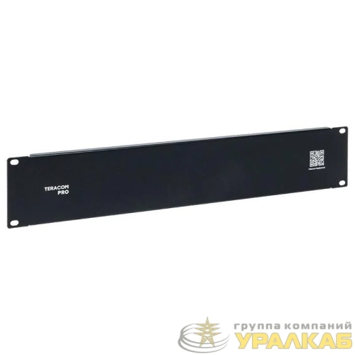 Фальшпанель TERACOM PRO 2U черн. EKF TRP-2FP-BK детальная картинка