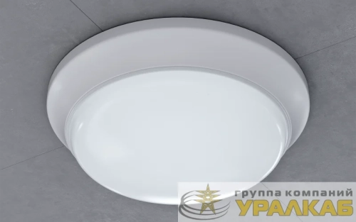 Светильник светодиодный 98 002 ДПБ-01-ПП-12-WH-4К-IP65 Innolux 
