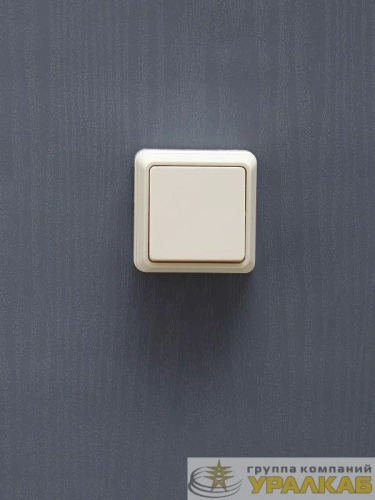Выключатель 1-кл. ОП Октава 10А IP20 ВС20-1-0-ОКм крем. IEK EVO10-K33-10-DC детальная картинка