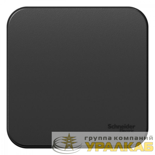 Выключатель 1-кл. ОП Blanca 10А IP20 (сх. 1) 250В антрацит SE 