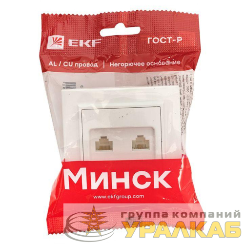 Розетка компьютерная + телефонная 2-м СП Минск RJ45 + Phone бел. Basic EKF ERK00-135-10