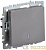 Выключатель 1-кл. СП BRITE ВС10-1-1-БрС 10А с индик. механизм сталь IEK BR-V10-1-10-K46