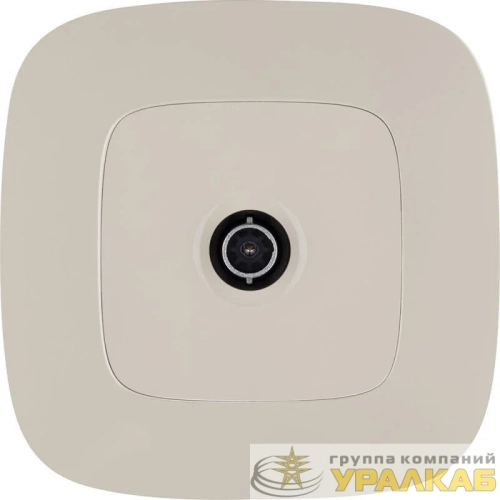 Розетка телевизионная TV 1-м Valena Allure 0-2400МГц с топологией "звезда" с лицев. панелью механизм сл. кость Leg 753851 детальная картинка