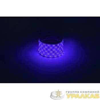 Лента светодиодная LS2835 -4.8-60-12-B-IP65-1 year-5m син. (уп.5м) Эра 