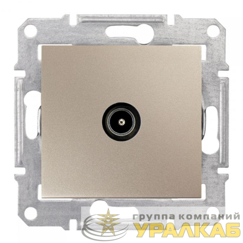 Коннектор TV Sedna оконечн. титан SchE SDN3201668 детальная картинка