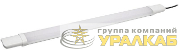 Светильник ДСП 1309 18Вт 6500К IP65 600мм бел. пластик IEK LDSP0-1309-18-6500-K01