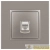 Розетка компьютерная Elegance 14-3107-16 RJ45 титан Эра 