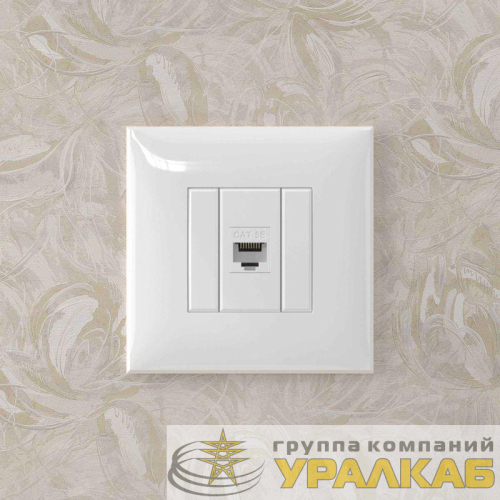 Розетка компьютерная 1-м СП Avanti "Белое облако" RJ45 кат.5E без шторок механизм DKC 4400663 детальная картинка
