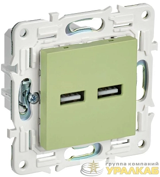 Розетка USB A+A 3.1А SKANDY SK-R15G мятный IEK SK-U21-D31-K06