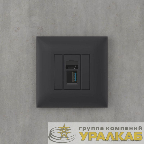 Розетка USB 3.0 1-м СП Avanti "Черный матовый" тип А-А DKC 4412303 детальная картинка