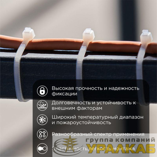 Хомут кабельный 2.5х150 нейл. бел. (уп.100шт) Rexant 07-0150 детальная картинка