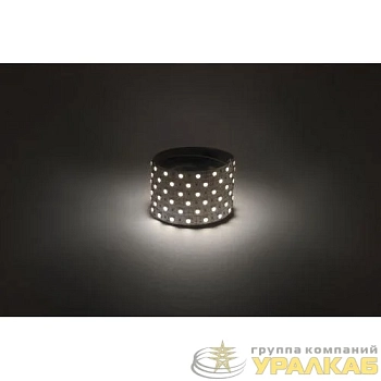 Лента светодиодная LS5050 14.4-60-12-4000K-IP20-1 year-5m нейтр. бел. (уп.5м) Эра 