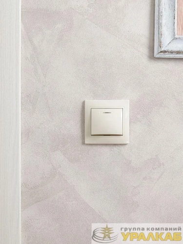 Выключатель 1-кл. СП Кварта 10А IP20 ВС10-1-1-ККм с индикацией крем. IEK EVK11-K33-10-DM детальная картинка
