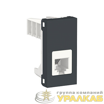 Розетка телефонная 1-м 1мод. Unica Modular RJ12 антрацит SchE NU349154