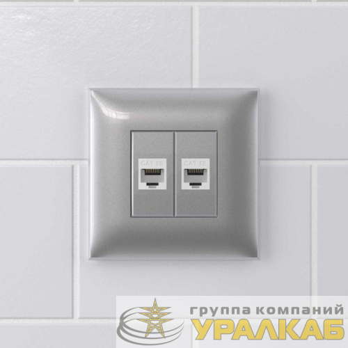Розетка компьютерная 2-м СП Avanti "Закаленная сталь" RJ45 кат.5E без шторок механизм DKC 