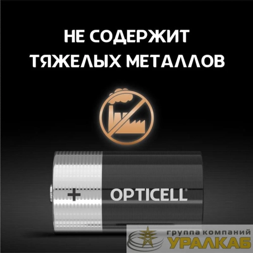 Элемент питания алкалиновый D/LR20 1.5В (блист. 2шт) Basic Opticell 5051005/6051005 детальная картинка
