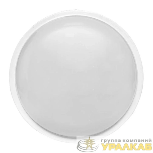 Светильник светодиодный ЖКХ ДПО-2006 20Вт 4000К IP65 круг LUMA EKF BKL-2006-R-20-4000 детальная картинка