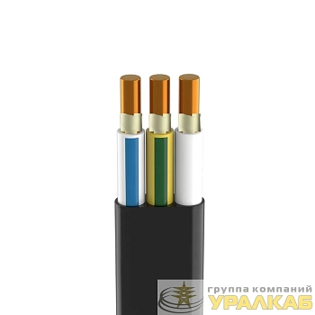 Кабель ППГ-Пнг(А)-FRHF 3х2.5 ОК (N PE) 0.66кВ (уп.100м) Кабэкс 