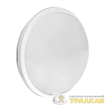 Светильник светодиодный ЖКХ ДПО-2006 20Вт 4000К IP65 круг LUMA EKF BKL-2006-R-20-4000