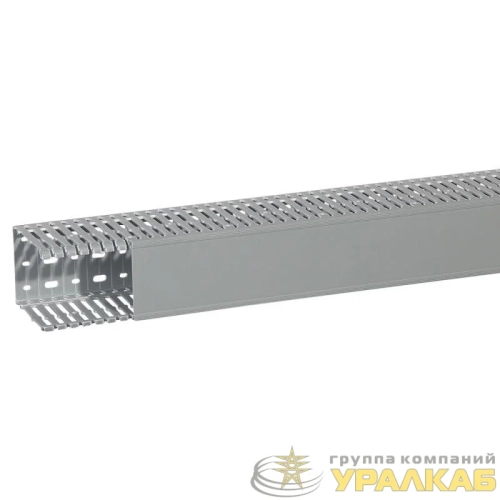 Кабель-канал перфорированный 80х100 L2000 Transcab Leg 636118 детальная картинка