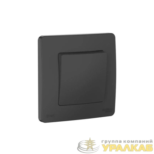 Переключатель 1-кл. СП Blanca 10А IP44 (сх.6) 250В антрацит SE 