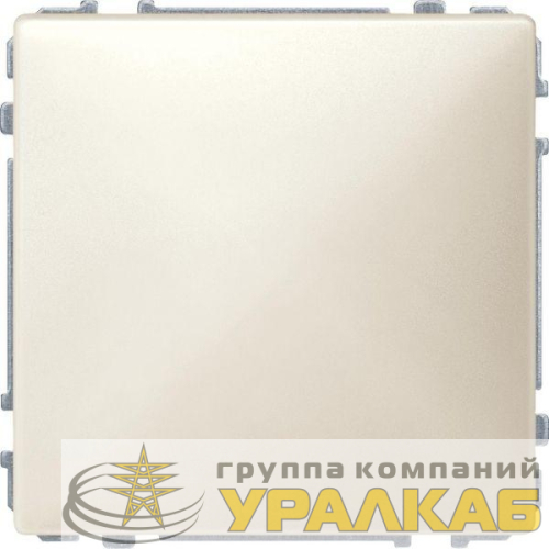 Заглушка Merten Antique беж. SchE MTN391944 детальная картинка