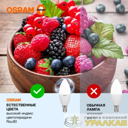Лампа светодиодная LED Value LVCLB75 10SW/865 10Вт свеча матовая E14 230В 10х1 RU OSRAM 4058075579262 детальная картинка