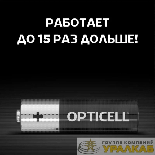 Элемент питания алкалиновый AA/LR6 (блист.4шт) Basic Opticell /6051001
