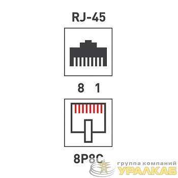 Розетка сетевая LAN на стену 2 гнездо 8Р8С (RJ-45) 5кат. Rexant 06-0105-C