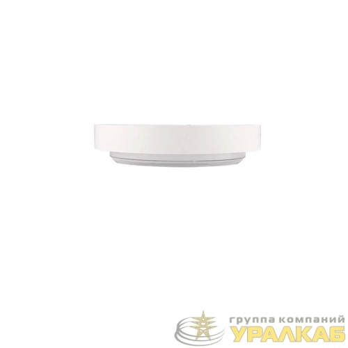 Светильник светодиодный PBH-PC9-RA 24Вт 4000К IP65 WHITE ДБП ЖКХ JazzWay 5065970 детальная картинка Светильник светодиодный PBH-PC9-RA 24Вт 4000К IP65 WHITE ДБП ЖКХ JazzWay 5065970 детальная картинка