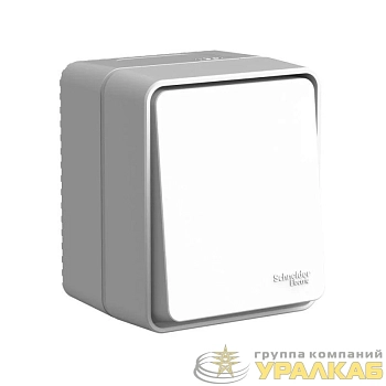 Переключатель проходной 1-кл. ОП AtlasDesign PROFI IP54 10АХ сер. SE 