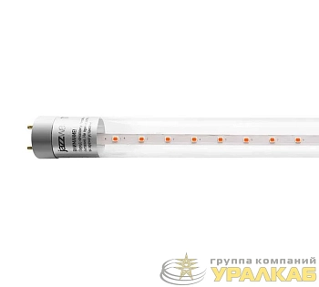 Лампа светодиодная PLED T8-600 PPG Agro 8Вт T8 линейная G13 CL для растений красн./син. спектр JazzWay 