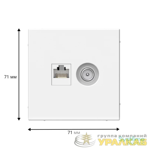 Розетка компьютерная + телевизионная 2-м ArtGallery RJ45 + TV кат.5E бел. SE 