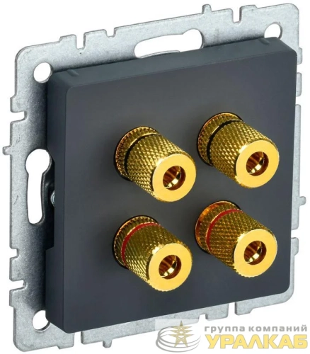 Аудиорозетка 4-м BRITE РА10-БрГ механизм графит IEK BR-S40-K53 детальная картинка